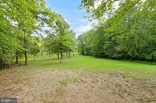 4407 Whitetail Ln, Bealeton, VA 22712 - Photo 99