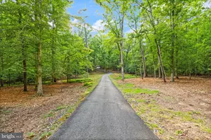 4407 Whitetail Ln, Bealeton, VA 22712 - Photo 107