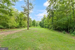 4407 Whitetail Ln, Bealeton, VA 22712 - Photo 97