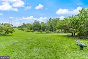 4407 Whitetail Ln, Bealeton, VA 22712 - Photo 117