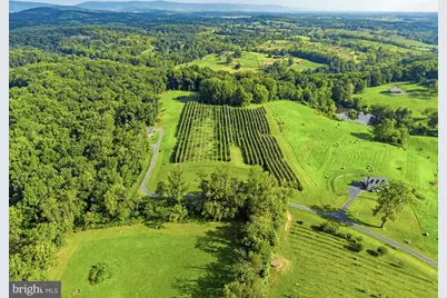 9470 Maidstone Road, Delaplane, VA 20144 - Photo 77