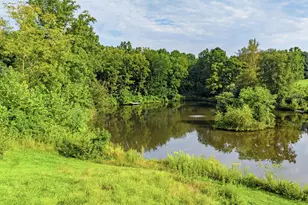 9470 Maidstone Rd, Delaplane, VA 20144 - Photo 73
