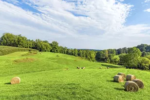 9470 Maidstone Rd, Delaplane, VA 20144 - Photo 51