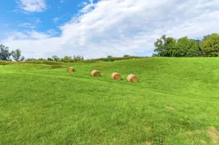 9470 Maidstone Rd, Delaplane, VA 20144 - Photo 69