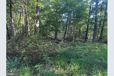 9119 Mountjoy Road, Marshall, VA 20115 - Photo 3