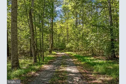 12064 Deerfield Lane, Amissville, VA 20106 - Photo 45