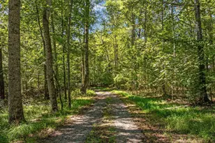 12064 Deerfield Ln, Amissville, VA 20106 - Photo 45