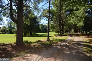 10540 Marsh Rd, Bealeton, VA 22712 - Photo 11