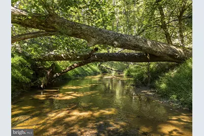 1663 Hatchers Mill Road, Middleburg, VA 20117 - Photo 59