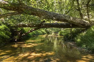 1663 Hatchers Mill Rd, Middleburg, VA 20117 - Photo 59