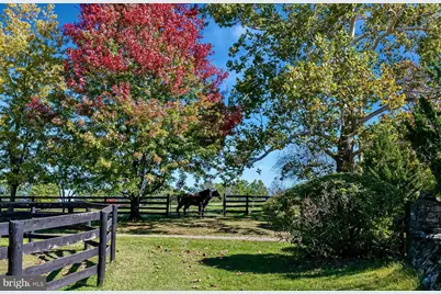 1610 Delaplane Grade Road, Upperville, VA 20184 - Photo 5