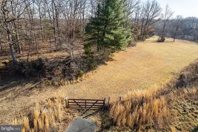 353 Greenwood Road, Winchester, VA 22602 - Photo 13