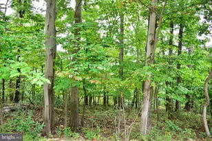 Lot 17 Fox Trail, Winchester, VA 22602 - Photo 1