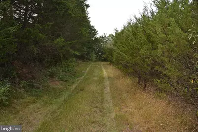 2700 Front Royal Pike, Stephens City, VA 22655 - Photo 9