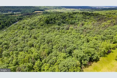 Lot 2 Timber Ridge Road N, Cross Junction, VA 22625 - Photo 7