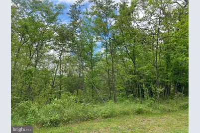 Lot 1 Tavistock Drive, Winchester, VA 22602 - Photo 11