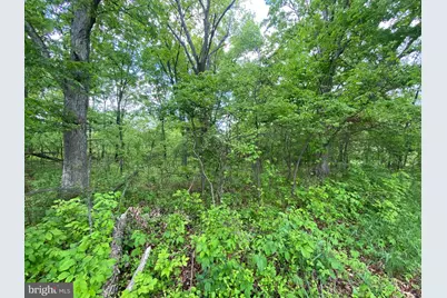 Lot 1 Tavistock Drive, Winchester, VA 22602 - Photo 9