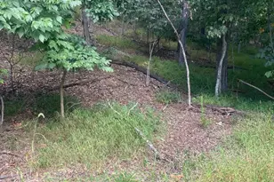 1116 Lakeview Dr, Cross Junction, VA 22625 - Photo 1