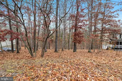 407 Northwood Circle, Cross Junction, VA 22625 - Photo 5