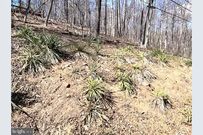 0 Hawk Trail Lot 155, Winchester, VA 22602 - Photo 9