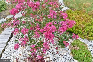 105 Keller Ct, Winchester, VA 22602 - Photo 3