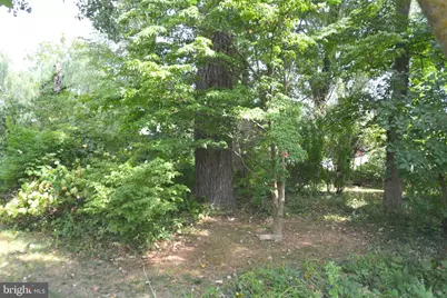 2431 Cedar Creek Grade, Winchester, VA 22602 - Photo 73