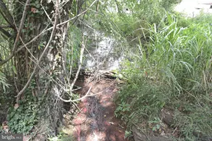 2431 Cedar Creek Grade, Winchester, VA 22602 - Photo 69