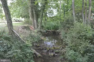 2431 Cedar Creek Grade, Winchester, VA 22602 - Photo 67