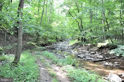 Lot 11-Hoover Mtn Pack Horse Road, Winchester, VA 22603 - Photo 9