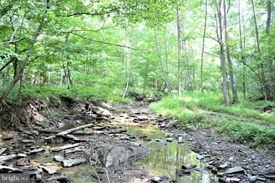 Lot 11-Hoover Mtn Pack Horse Road, Winchester, VA 22603 - Photo 3