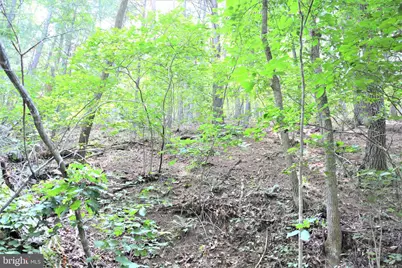 Lot 11-Hoover Mtn Pack Horse Road, Winchester, VA 22603 - Photo 7
