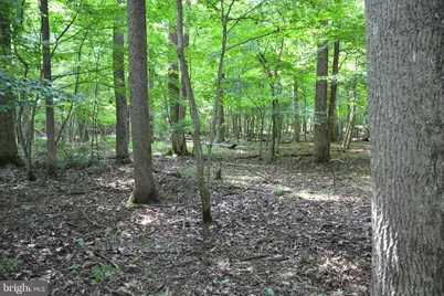 Lot 11-Hoover Mtn Pack Horse Road, Winchester, VA 22603 - Photo 13