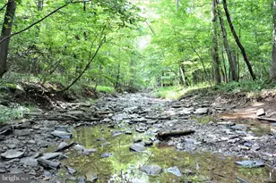 Lot 11-Hoover Mtn Pack Horse Rd, Winchester, VA 22603 - Photo 1