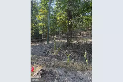 Light Road, Winchester, VA 22603 - Photo 3