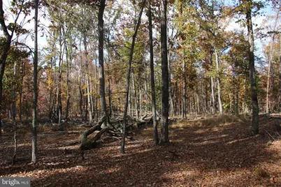 Easter Ridge Lot 7A Lane, Winchester, VA 22603 - Photo 7