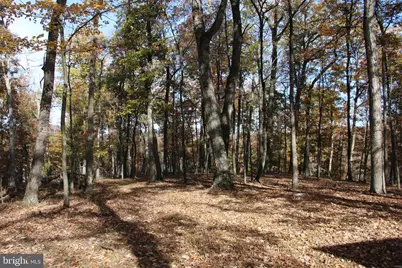 Easter Ridge Lot 7A Lane, Winchester, VA 22603 - Photo 5