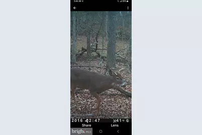 Easter Ridge Lot 7A Lane, Winchester, VA 22603 - Photo 53