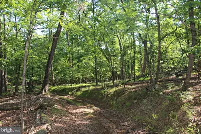 Easter Ridge Lot 7A Lane, Winchester, VA 22603 - Photo 29