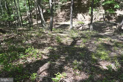 Files Chapel Drive, Winchester, VA 22603 - Photo 33