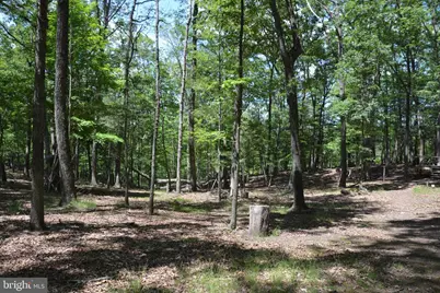 Files Chapel Drive, Winchester, VA 22603 - Photo 43