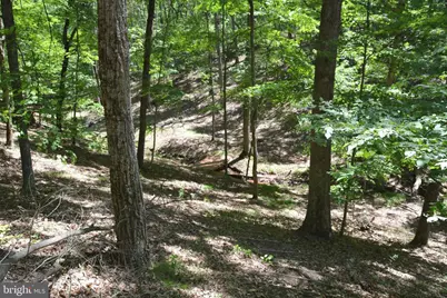 Files Chapel Drive, Winchester, VA 22603 - Photo 41