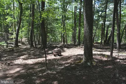 Files Chapel Drive, Winchester, VA 22603 - Photo 49