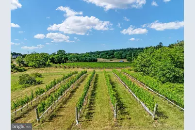 131 Chanterelle Court, Stephens City, VA 22655 - Photo 71