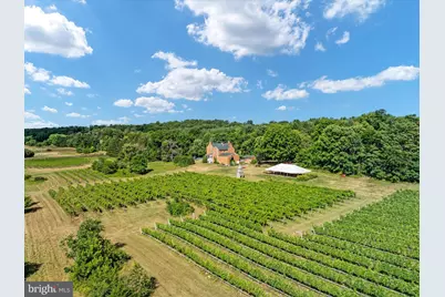 131 Chanterelle Court, Stephens City, VA 22655 - Photo 69