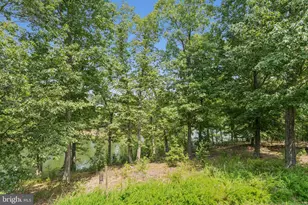 108 Bunting Ct, Lake Frederick, VA 22630 - Photo 43