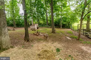 430 Saddleback Ln, Winchester, VA 22602 - Photo 31