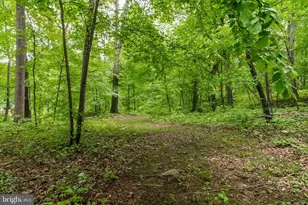 430 Saddleback Ln, Winchester, VA 22602 - Photo 33