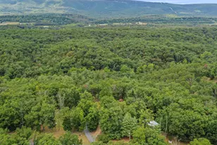 3782 Wardensville Grade, Winchester, VA 22602 - Photo 73