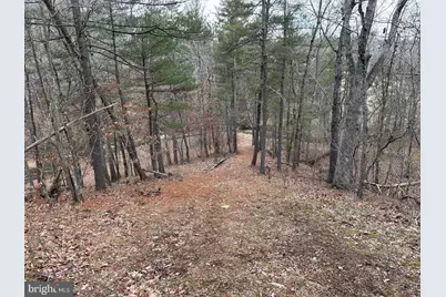 Lot 1B Double Church Road, Stephens City, VA 22655 - Photo 29