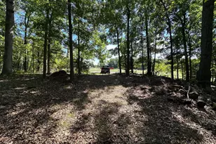 Lot 1B Double Church Rd, Stephens City, VA 22655 - Photo 3